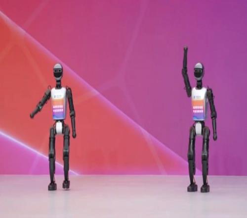 宝可梦,粉丝实现卡,车下梦幻传,678体育平台,678体育官方网站,678体育登录入口,678体育app下载