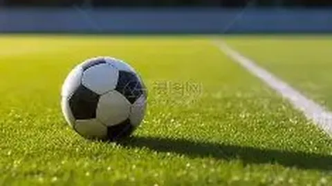 雄鹿官方榜单稳居首位，湖人快船紧随其后，绿军上升至第四位