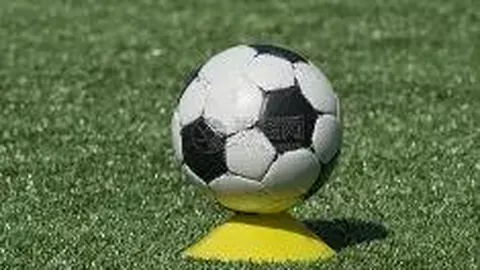 中国女排稳居全球排坛首位