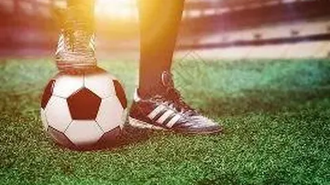 678体育 资讯 085343 f48