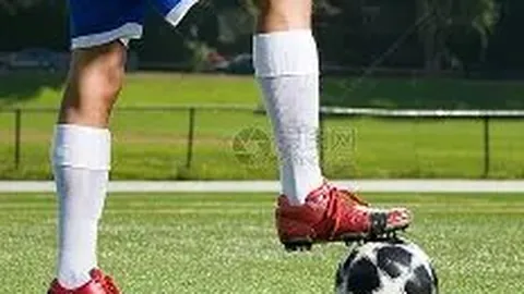 678体育 资讯 085201 8yl