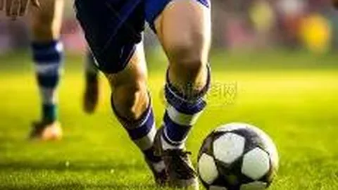 678体育 资讯 085353 ogi