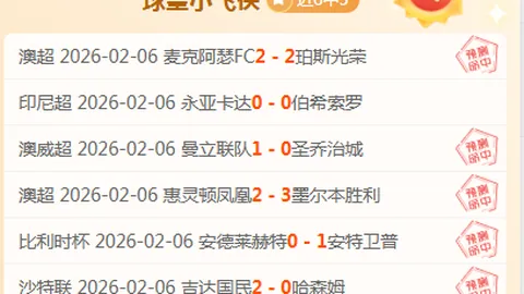 挑战极限！17胜13负背后的神秘连胜，揭秘五日攻防激战风云预测