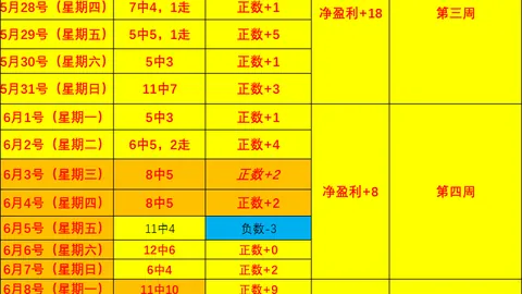 法国足球选帅秘籍：轻松掌握的终极指南 - 新民晚报评论解读